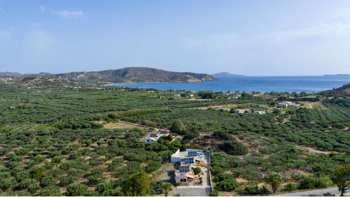 Rousolakos Pool Apartments Palekastro Luaran gambar